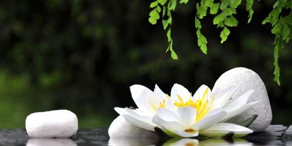 detox-addiction recovery meditation_cr