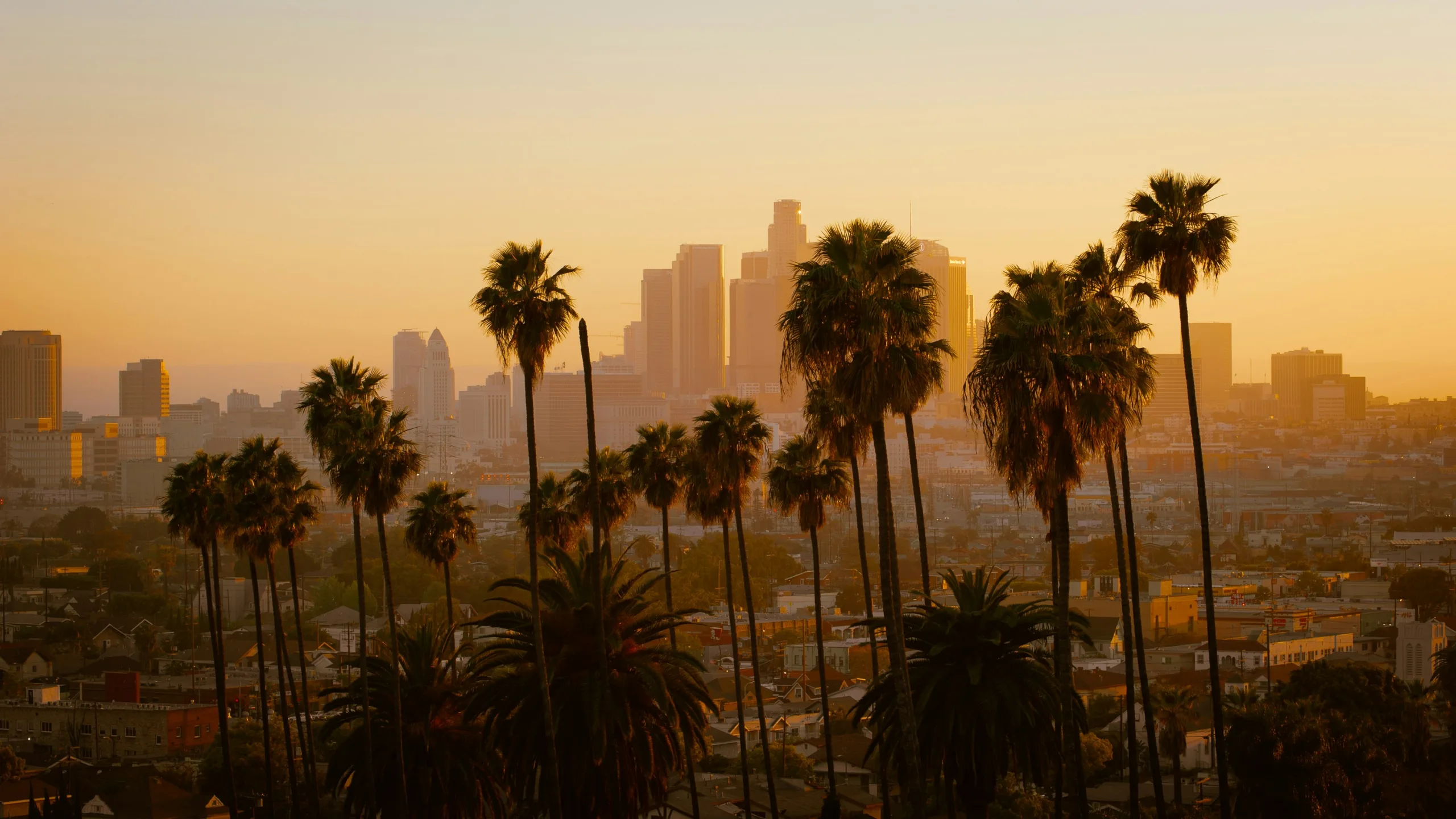 los angeles Transcendental Meditation